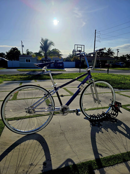 GT Performer ONEOFONE 29" BMX Custom 2 Piece Frame, Bars, Seatpost All GT CERT
